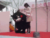 搞笑 可爱 雷人 娱乐