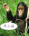 早上好 猴子 招手 可爱 早安 zaoan