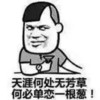 卡通 鄙视 可爱 逗趣