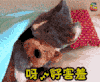 呀 好害羞 萌宠 soogif soogif出品