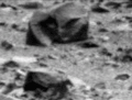 外星人 美国宇航局 每日的 新闻 来源 不明飞行物 面对 灰色 目击 火星 12月 瞄准 美国宇航局新闻 建立