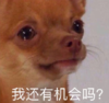 大杂烩 沙雕 魔性 文字表情包 搞笑