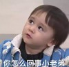 萌娃 本特利 你怎么回事小老弟 可爱 逗 沙雕