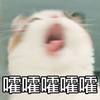 萌宠 喵星人 霍霍霍 难受 搞怪 逗