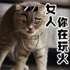 端妃 猫 可爱 女人,你在玩火