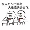 在天愿作比翼鸟大难临头各自飞 金馆长 桌子 红领巾