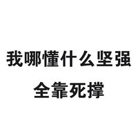 不懂坚强全靠死撑 文字 白色背景 黑色文字