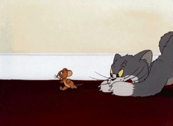 猫和老鼠 汤姆 杰瑞 猫抓老鼠 急转弯 卡通 tom and jerry