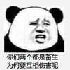 熊猫人 囧 恶搞 你们两个都是畜生为何要互相伤害呢
