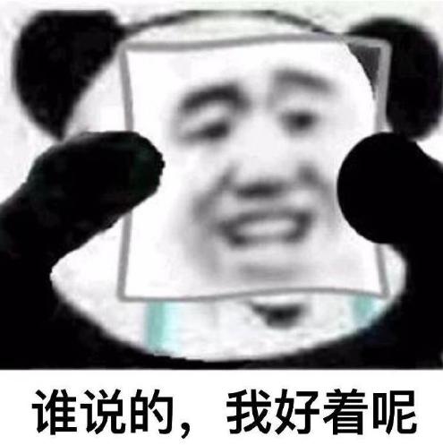 熊猫头 沙雕 双重人格 我没事啊 蠢萌