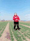 田地 培土 搞笑 嘚瑟 逗逼