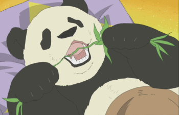 白熊咖啡厅 熊猫 懒惰 吃竹子