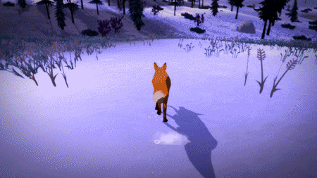 雪地 狐狸 奔跑