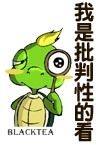 我是批判性的看,警告你别这样,别逼我别惹我,事先告知声明,,  绿龟