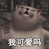 mur猫 憨憨猫 我可爱吗 搞怪 逗