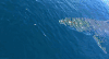 鲨鱼 悠闲 游动 晴 清澈 自然 海洋 ocean nature