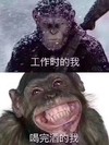 工作时的我 喝完酒的我 猴子 搞笑 斗图