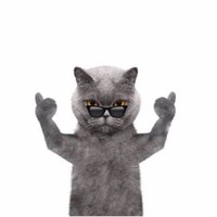 抖音 抖音蓝猫 蓝猫 社会猫 抖音