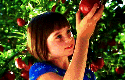 小女孩 苹果 可爱 红润