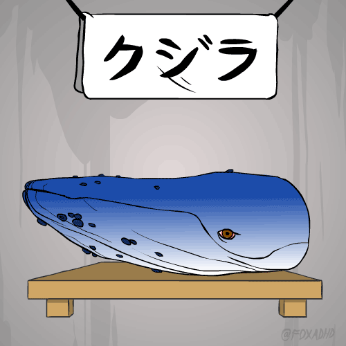 鲸鱼 涉猎 分尸 可怜