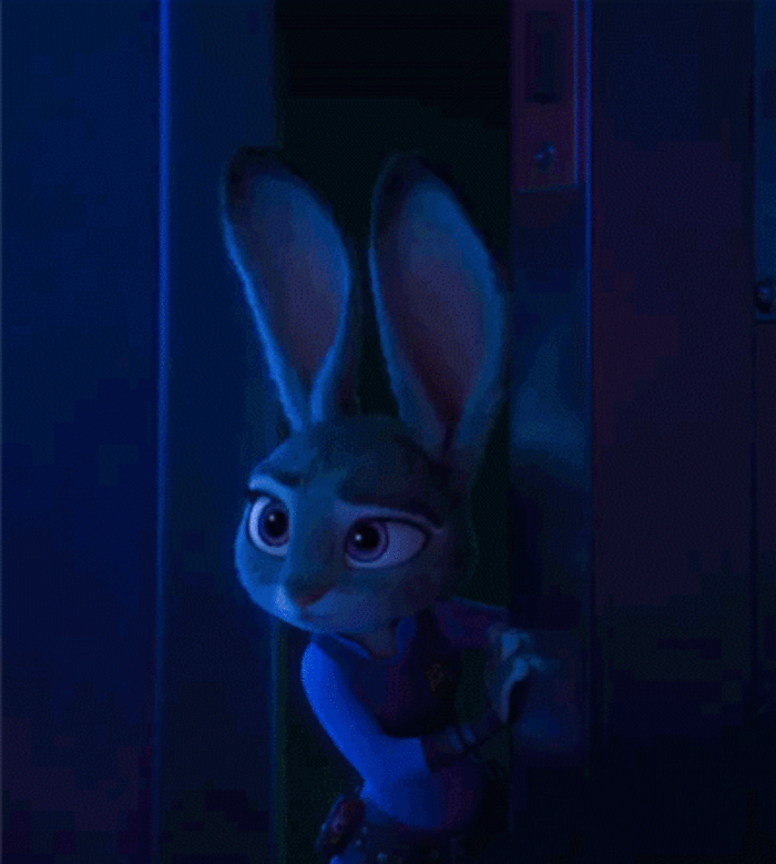 小兔 偷看 夜晚 动漫