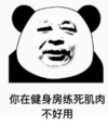 暴漫 文字表情包 你在健身房练死肌肉不好用 搞笑 逗 沙雕