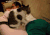辛苦 猫 主人 萌 好好 gif