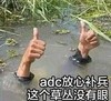 点赞 搞笑 雷人 斗图 放心补兵，这个草丛没有眼