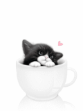 猫咪 杯子 爱心 可爱