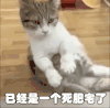 死肥宅