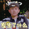 妻子的浪漫旅行 浪漫旅行 旅行 张杰 发生了什么 蒙圈 soogif soogif出品