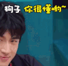 林更新 坏笑 soogif soogif出品 搞怪 你很懂 狗子你很懂哟