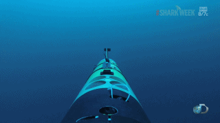 海洋 潜水 鲨鱼 袭击