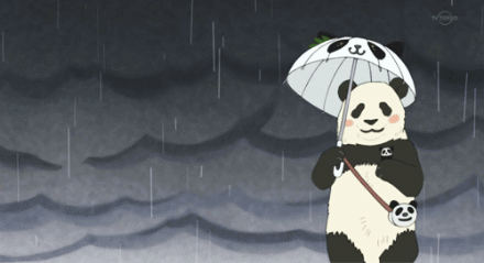 熊猫 黑夜 雨天 打伞 走路