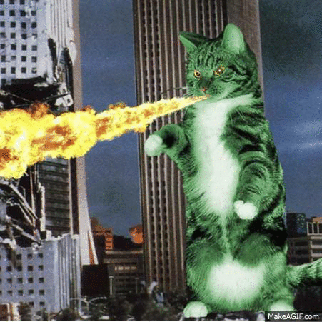 猫咪 闪电 火箭 闪烁