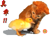 卡通 动漫 猫猫 真乖 乖