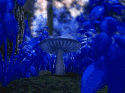 迷幻 蘑菇 灯光 漂亮