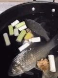锅里 观赏鱼 游动 搞笑