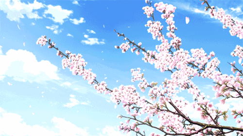 蓝天 桃花 花瓣 白云