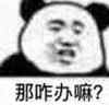 斗图 熊猫头 那咋办啊 搞怪 逗