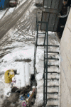 冬天 下雪 搞笑 滑稽