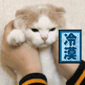 冷漠 猫 可爱