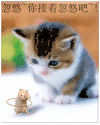 图片  动图   猫咪 老鼠