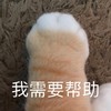 萌宠 喵星人 我需要帮助 help 呆萌 可爱