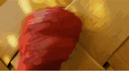 動(dòng)漫 紅色 可愛(ài) 萌寵