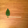 可爱   叶子     动画    动态
