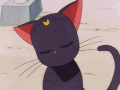 美少女战士 猫咪 眨眼 动漫