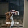 萌宠 猫星人 吨吨吨吨 喝雪碧 呆萌 可爱