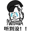 暴漫 文字表情包 听到没 搞笑 逗 沙雕