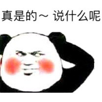 真是的 红脸蛋 挠头 熊猫 说什么呢